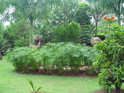 Mosa Court Apartments Kampala Eksteriør billede